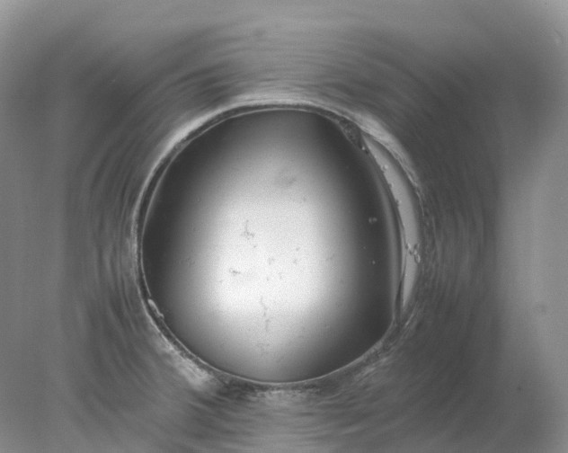 X0000078021380200611101835