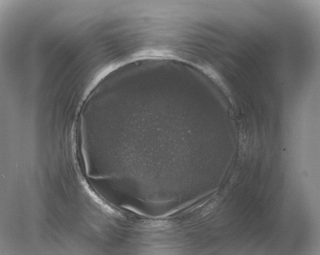 X0000078021382200611101835