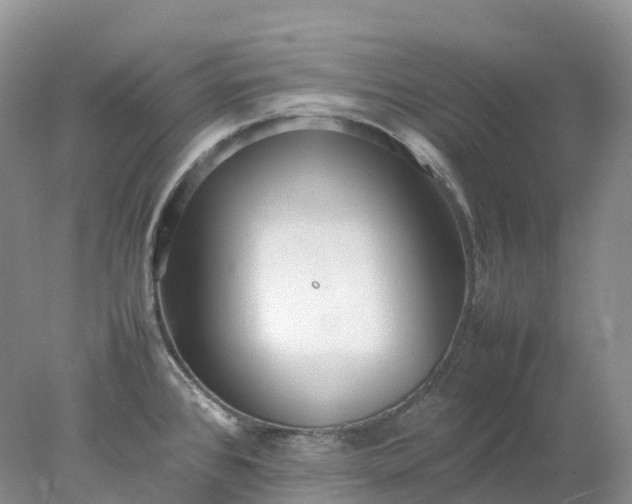 X0000078021384200611101835