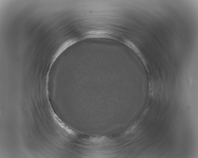 X0000078021386200611101835