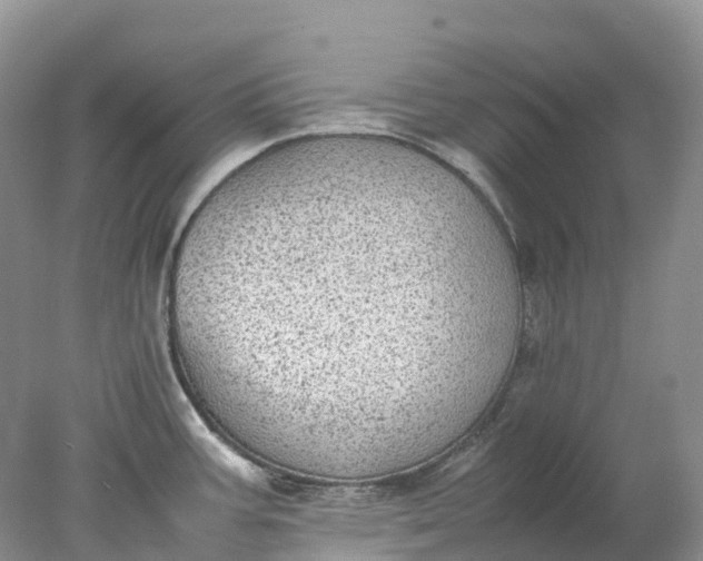 X0000078021387200611101835