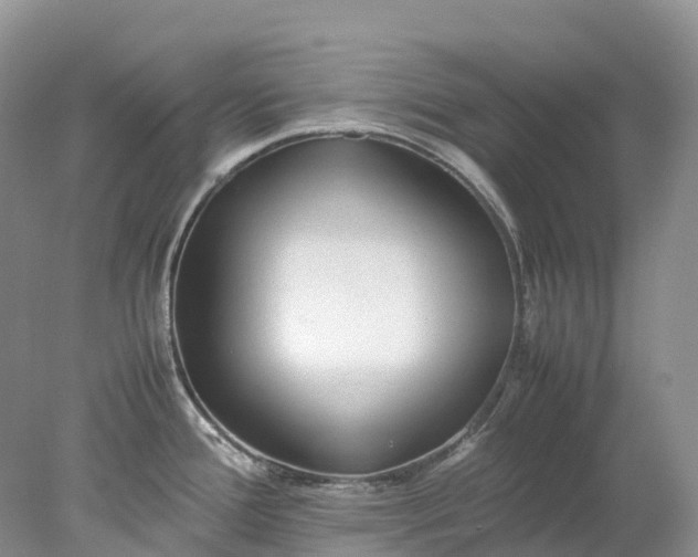 X0000078021388200611101835