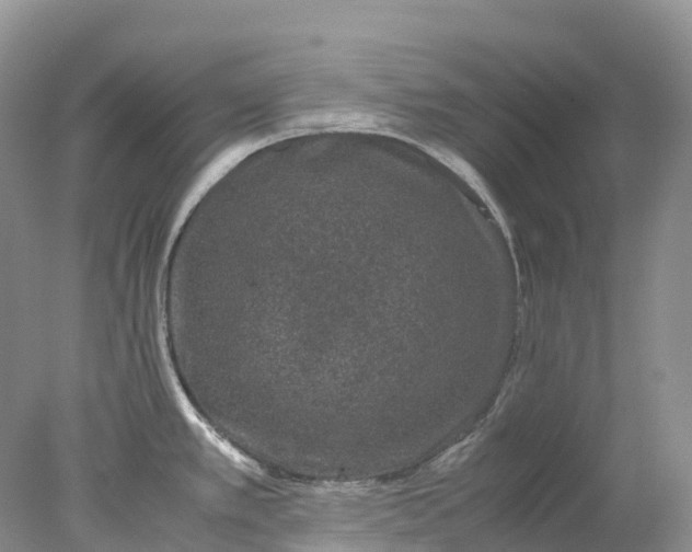 X0000078021389200611101835