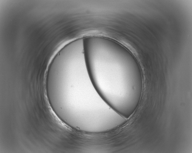 X0000078021392200611101835