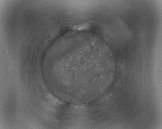 X0000078021393200611101834