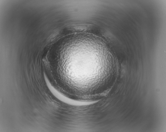 X0000078021394200611101834