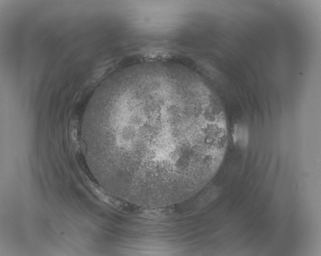 X0000078021396200611101834