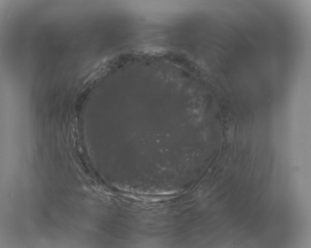 X0000078021397200611101835