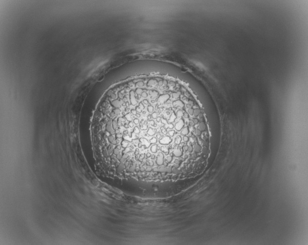 X0000078021399200611101835