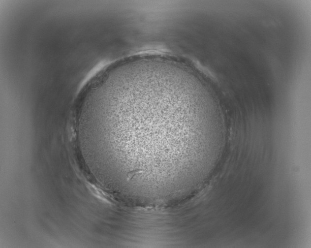 X0000078021400200611101835