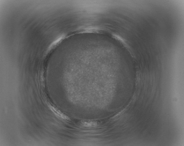 X0000078021403200611101835