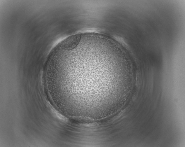 X0000078021404200611101835