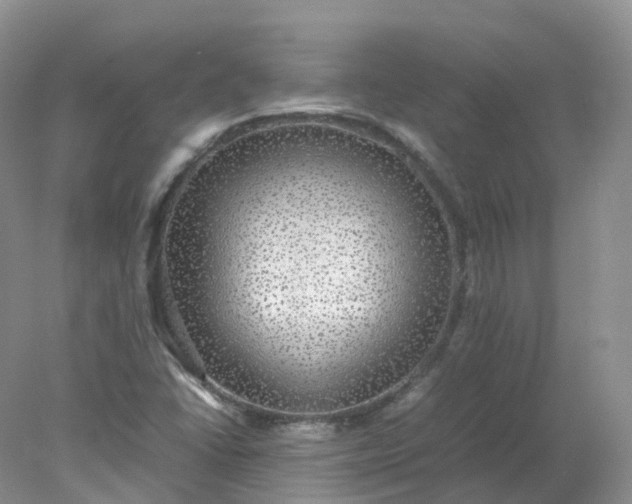 X0000078021406200611101835