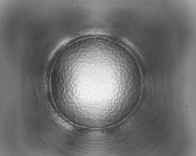 X0000078021408200611101835