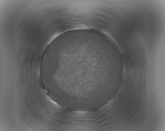 X0000078021409200611101835