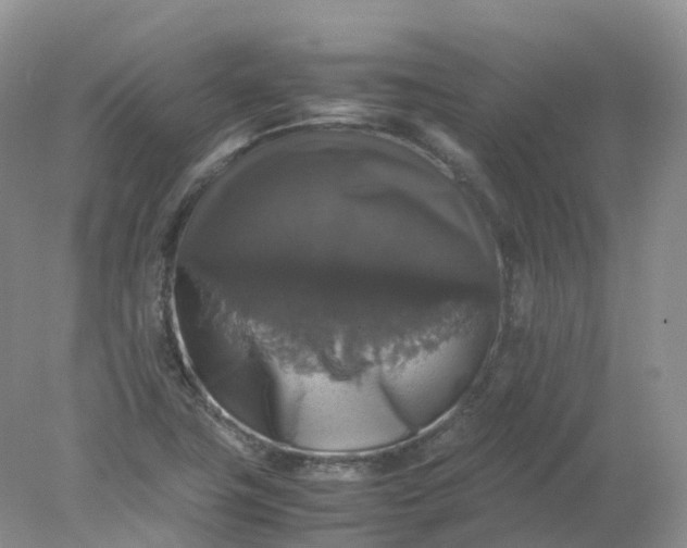 X0000078021411200611101835