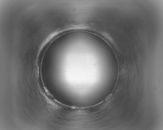 X0000078021414200611101835