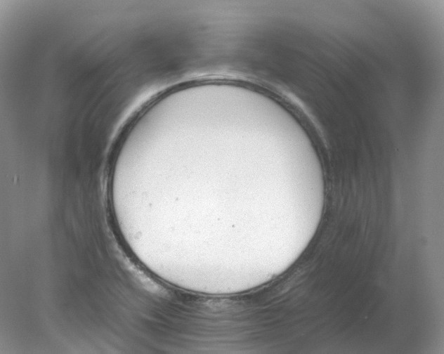 X0000078021416200611101835