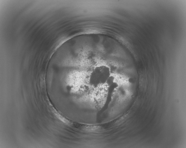 X0000078021417200611101835