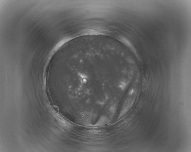 X0000078021419200611101835