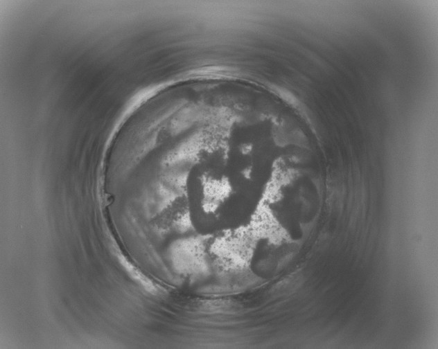 X0000078021421200611101835