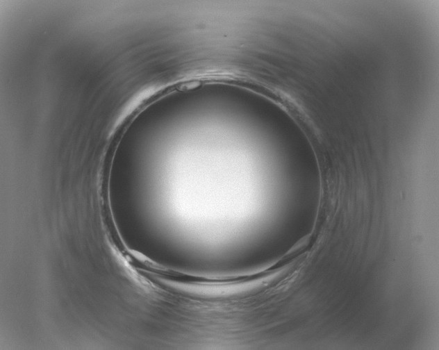 X0000078021422200611101835