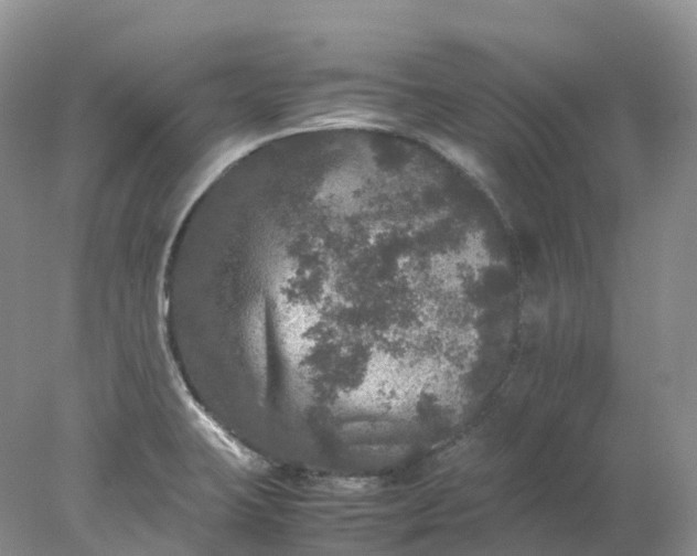 X0000078021423200611101835