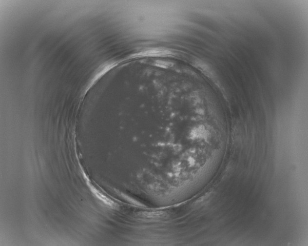 X0000078021425200611101835