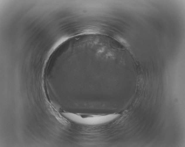 X0000078021427200611101835