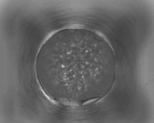 X0000078021429200611101835