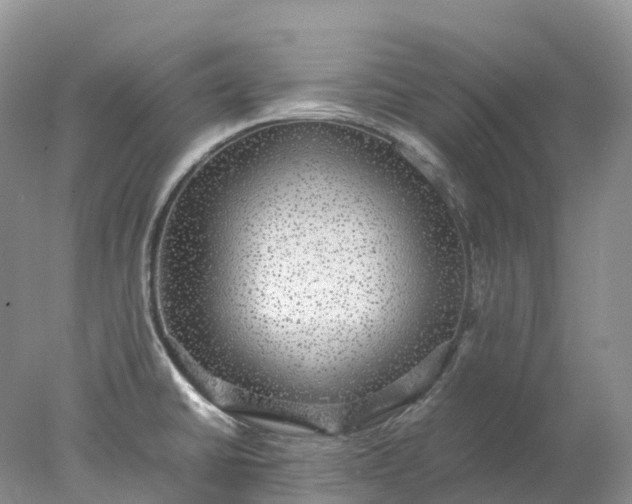 X0000078021430200611101835