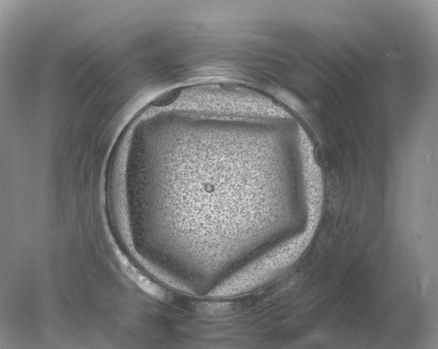 X0000078021431200611101835