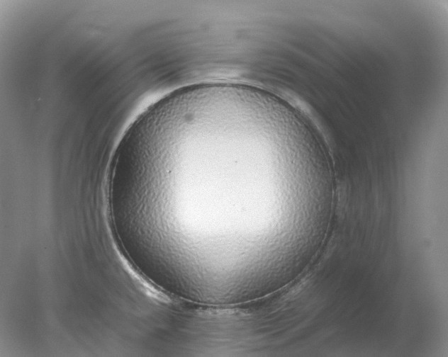 X0000078021432200611101835