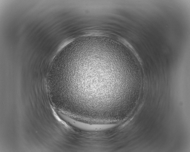 X0000078021433200611101835