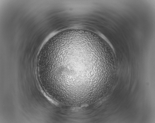 X0000078021437200611101835