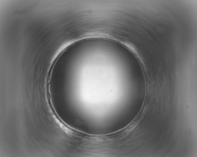 X0000078021438200611101835