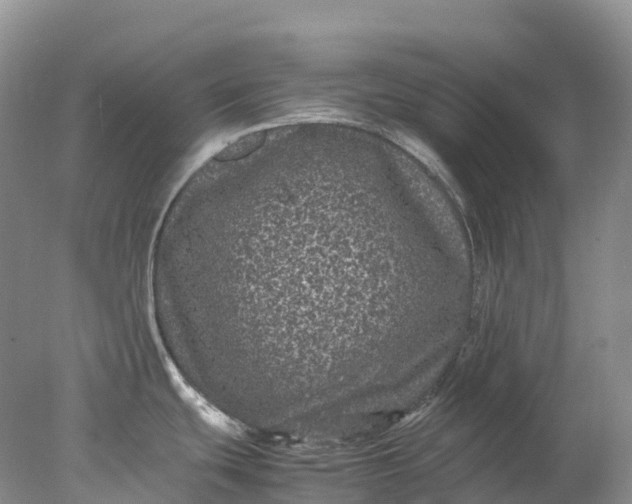 X0000078021439200611101835