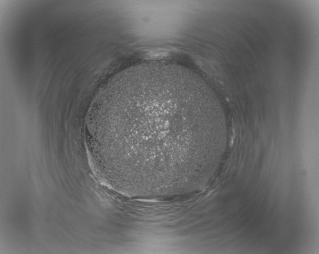 X0000078021441200611101834