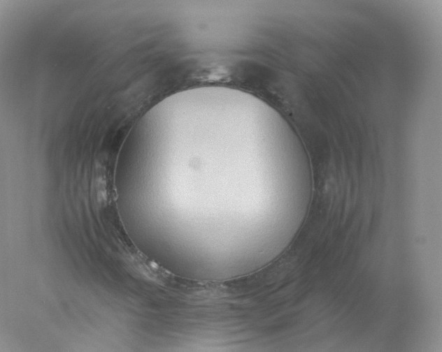 X0000078021442200611101834