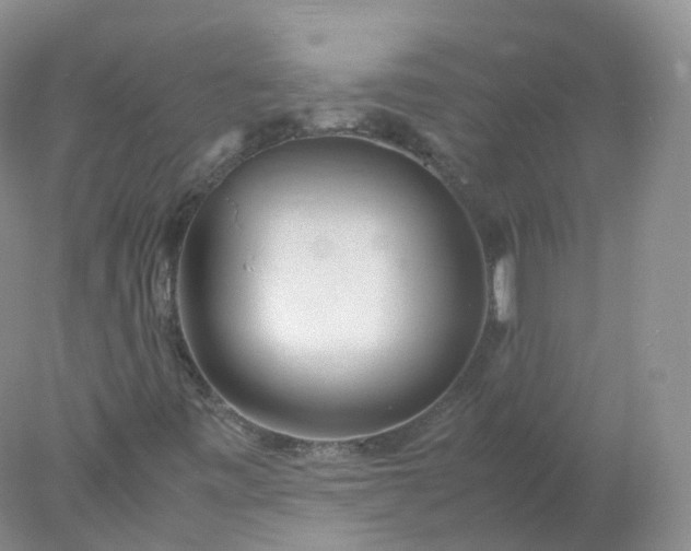 X0000078021443200611101834