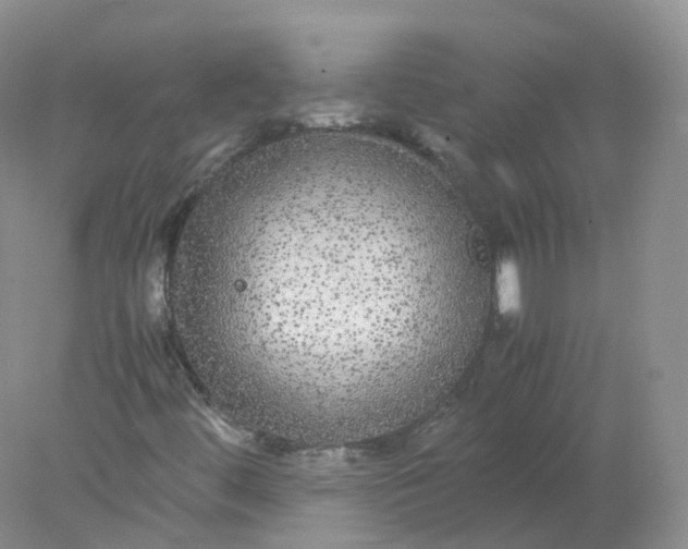 X0000078021444200611101834