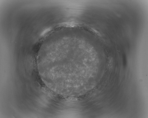 X0000078021446200611101834