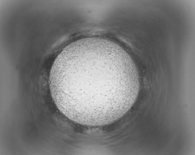 X0000078021447200611101834