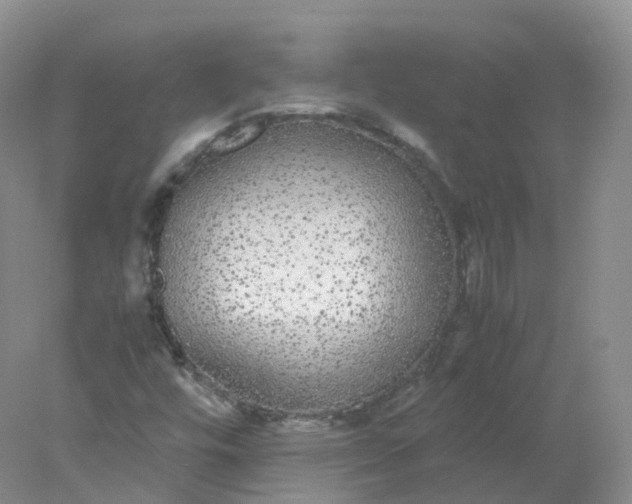 X0000078021448200611101834