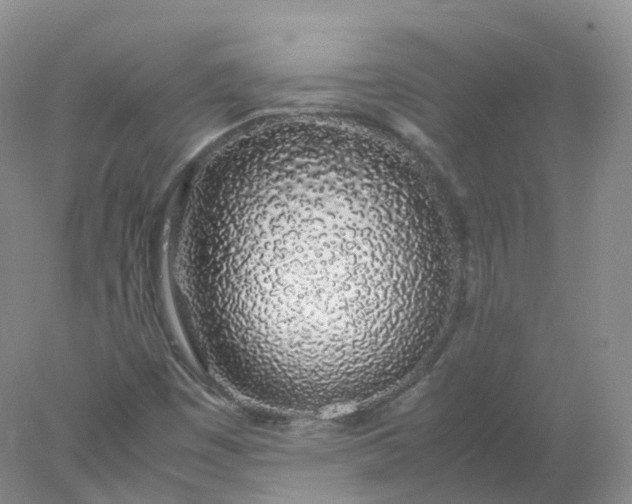 X0000078021449200611101834