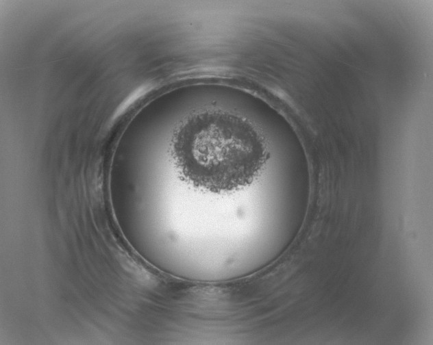 X0000078021450200611101834