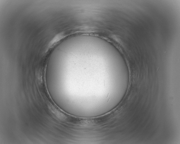 X0000078021451200611101834