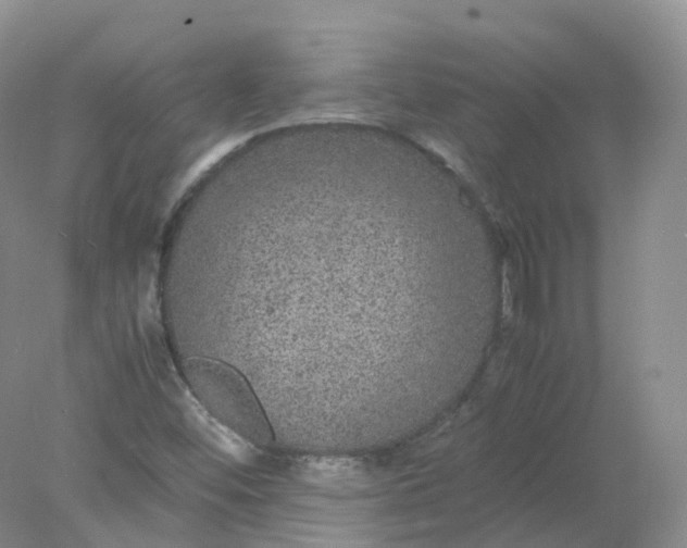 X0000078021452200611101834