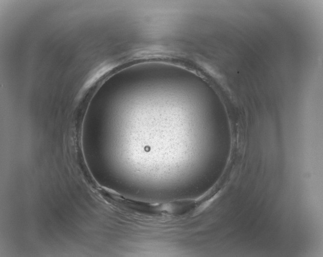 X0000078021453200611101834