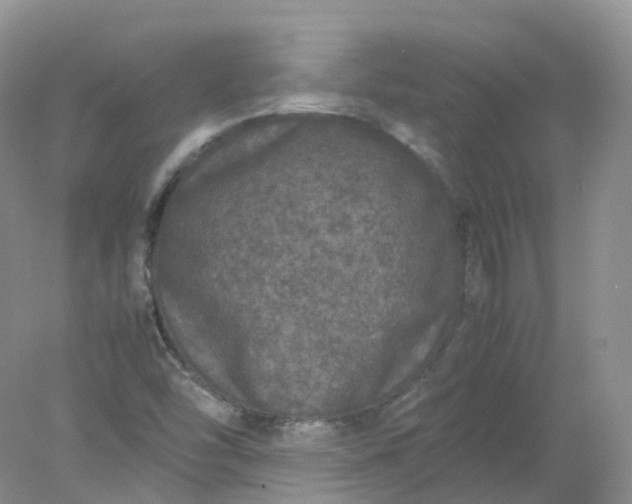 X0000078021454200611101834